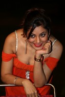 Shilpi Sharma Spicy Photos